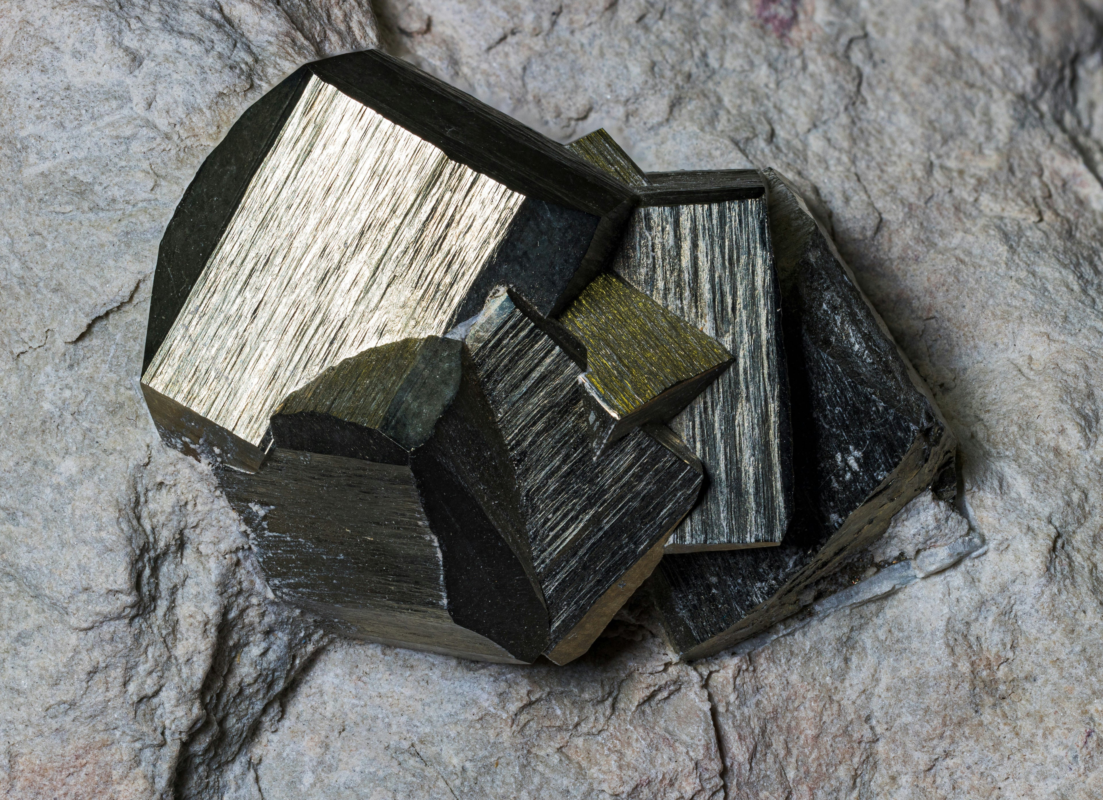 Habthera Zinc—supports immunity, hormone balance, and cellular repair.