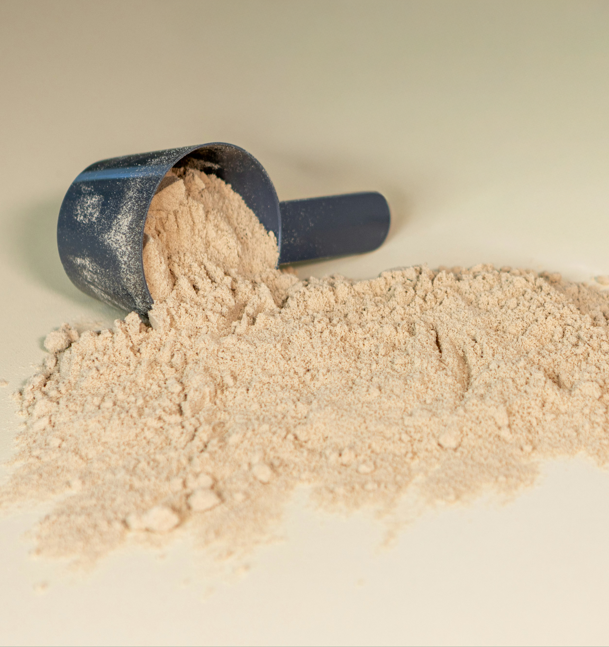 Habthera Whey Protein Isolate powder—high-purity protein supplement for lean muscle support, recovery, and daily wellness.